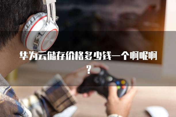 华为云储存价格多少钱一个啊呢啊?
