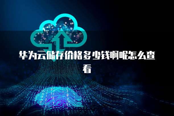 华为云储存价格多少钱啊呢怎么查看
