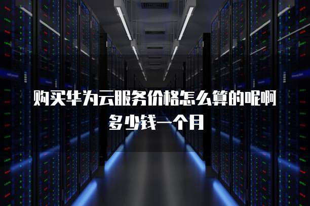 购买华为云服务价格怎么算的呢啊多少钱一个月