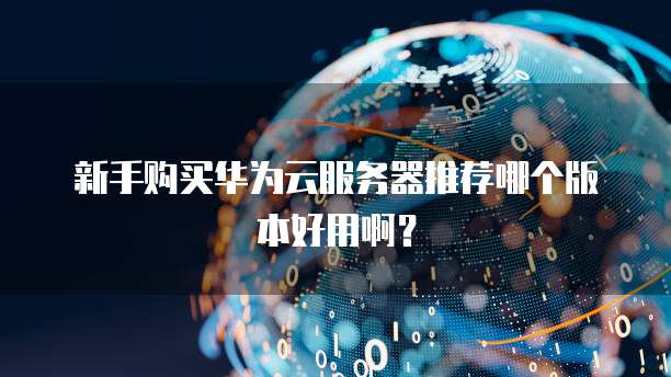新手购买华为云服务器推荐哪个版本好用啊？