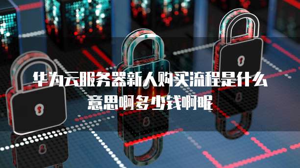 华为云服务器新人购买流程是什么意思啊多少钱啊呢