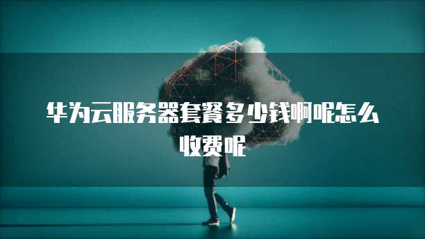 华为云服务器套餐多少钱啊呢怎么收费呢