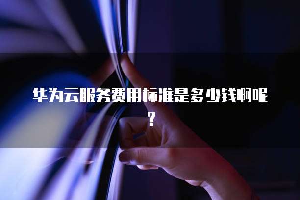 华为云服务费用标准是多少钱啊呢?