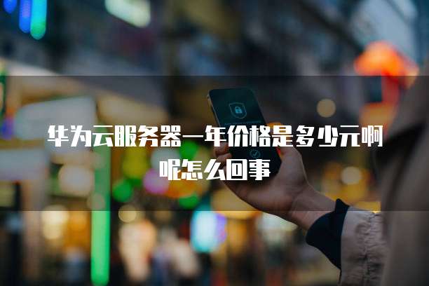 华为云服务器一年价格是多少元啊呢怎么回事