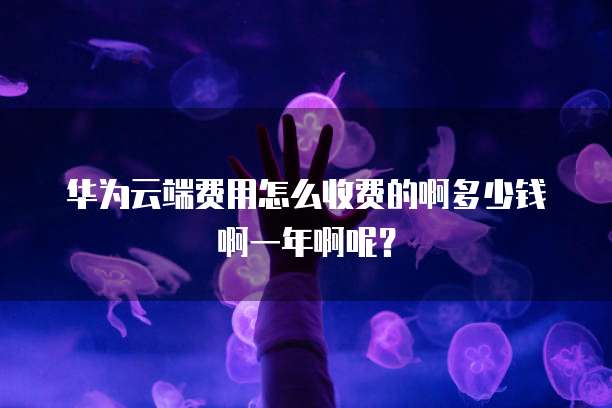 华为云端费用怎么收费的啊多少钱啊一年啊呢?
