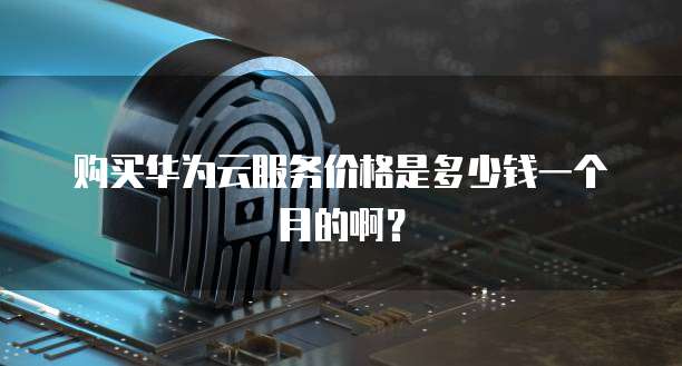 购买华为云服务价格是多少钱一个月的啊？
