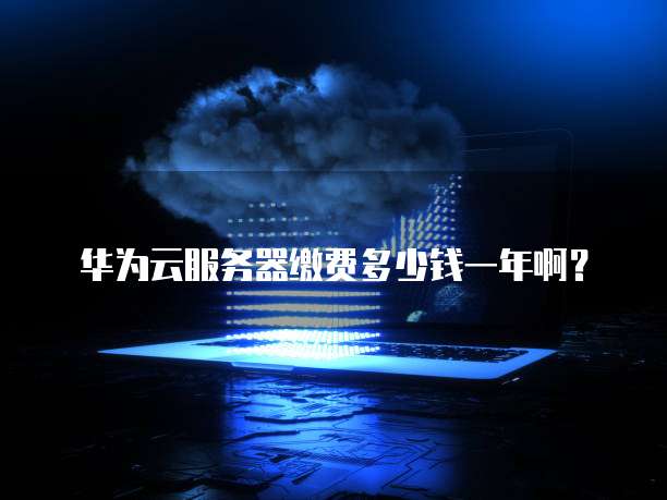华为云服务器缴费多少钱一年啊?