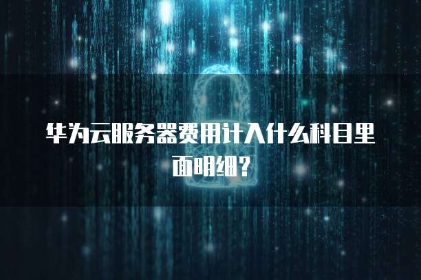 华为云服务器费用计入什么科目里面明细?