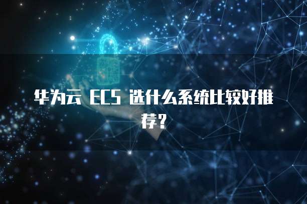 华为云 ECS 选什么系统比较好推荐?
