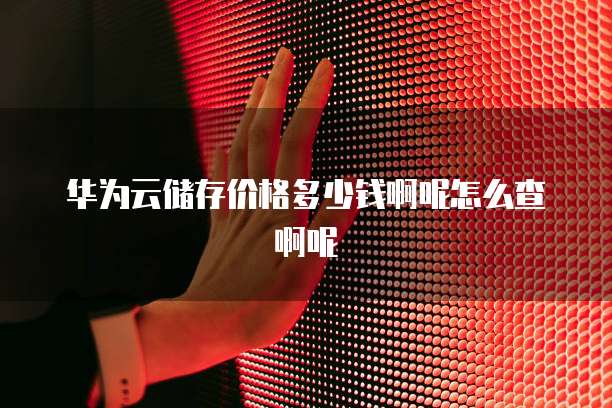 华为云储存价格多少钱啊呢怎么查啊呢