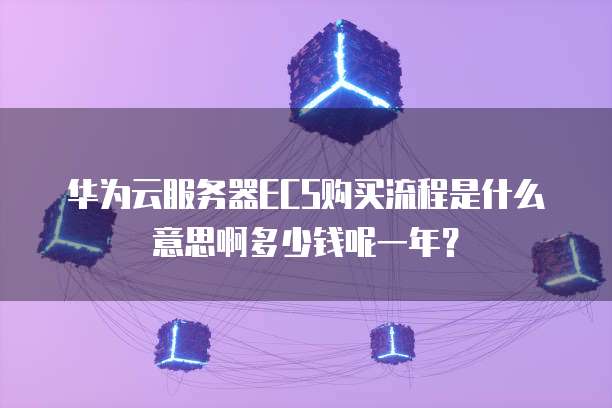 华为云服务器ECS购买流程是什么意思啊多少钱呢一年?
