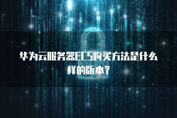 华为云服务器ECS购买方法是什么样的版本?