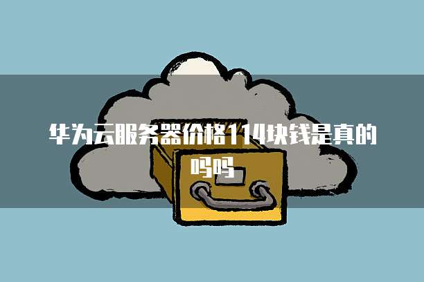 华为云服务器价格114块钱是真的吗吗