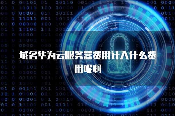 域名华为云服务器费用计入什么费用呢啊