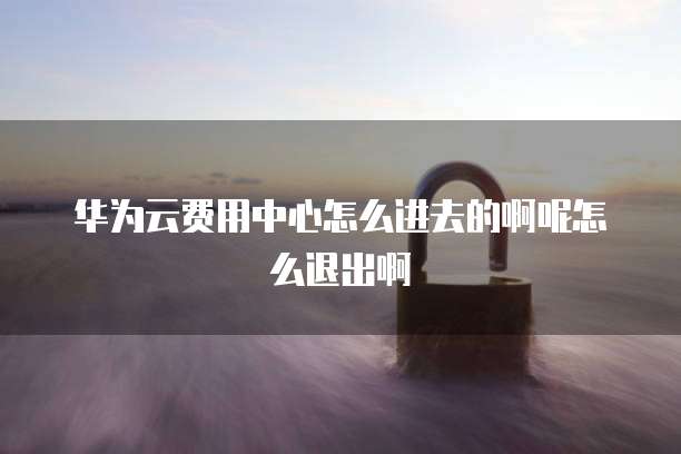 华为云费用中心怎么进去的啊呢怎么退出啊