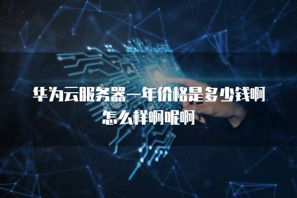 华为云服务器一年价格是多少钱啊怎么样啊呢啊
