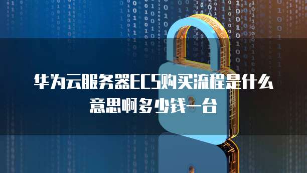 华为云服务器ECS购买流程是什么意思啊多少钱一台