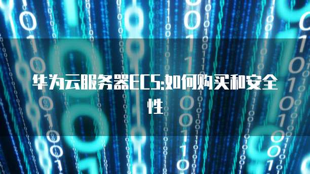 华为云服务器ECS:如何购买和安全性