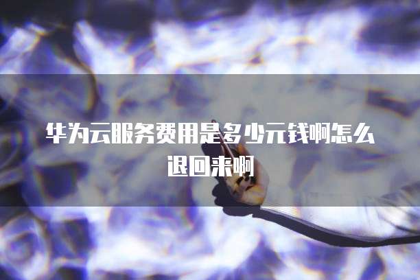 华为云服务费用是多少元钱啊怎么退回来啊