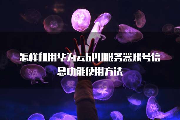 怎样租用华为云GPU服务器账号信息功能使用方法