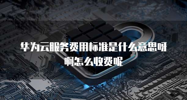 华为云服务费用标准是什么意思呀啊怎么收费呢