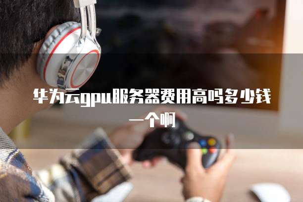 华为云gpu服务器费用高吗多少钱一个啊