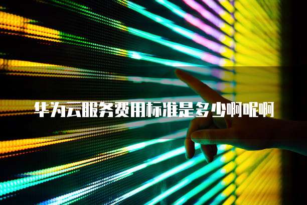 华为云服务费用标准是多少啊呢啊