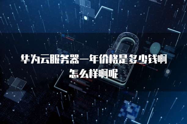 华为云服务器一年价格是多少钱啊怎么样啊呢
