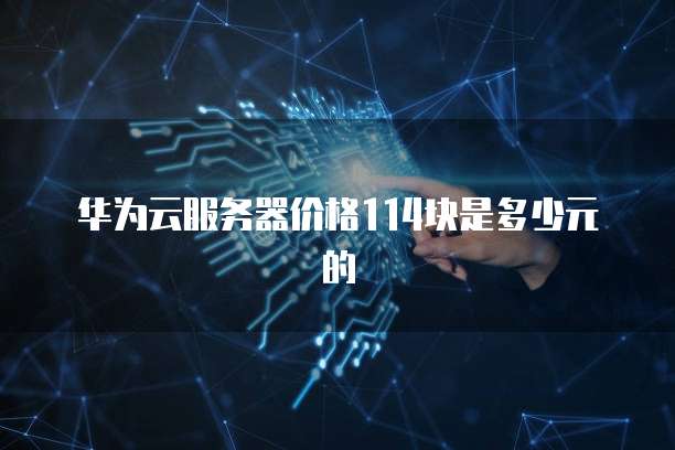 华为云服务器价格114块是多少元的