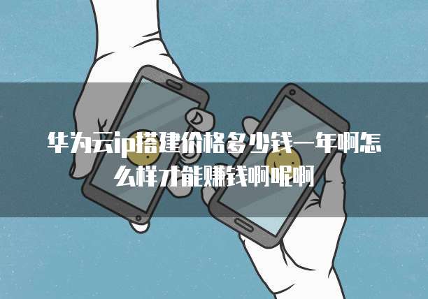 华为云ip搭建价格多少钱一年啊怎么样才能赚钱啊呢啊
