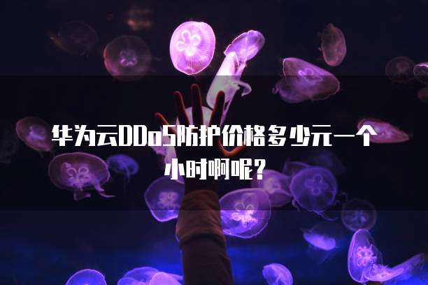 华为云DDoS防护价格多少元一个小时啊呢?
