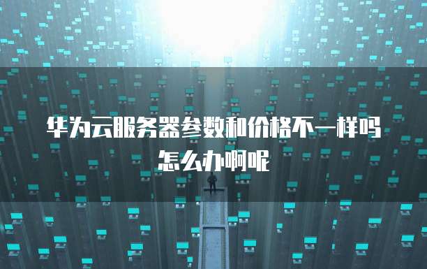 华为云服务器参数和价格不一样吗怎么办啊呢