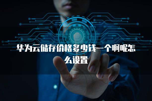 华为云储存价格多少钱一个啊呢怎么设置
