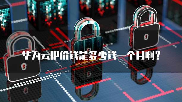 华为云IP价钱是多少钱一个月啊?