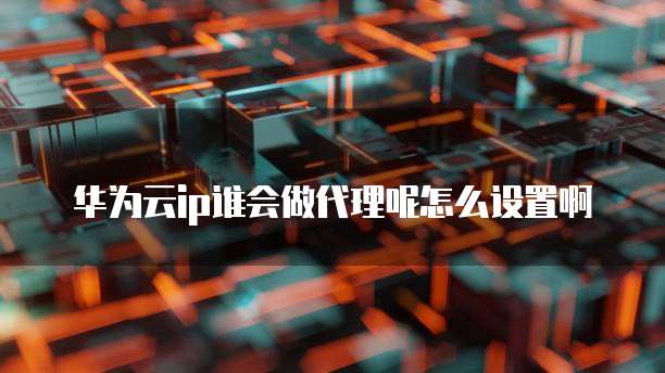 华为云ip谁会做代理呢怎么设置啊