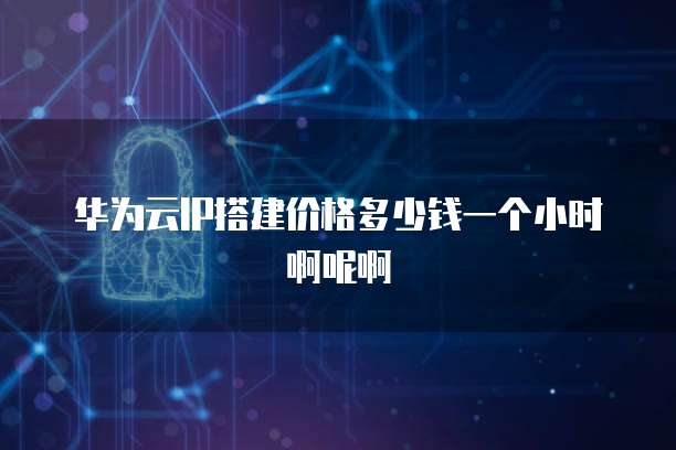 华为云IP搭建价格多少钱一个小时啊呢啊