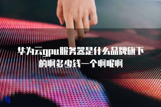 华为云gpu服务器是什么品牌旗下的啊多少钱一个啊呢啊