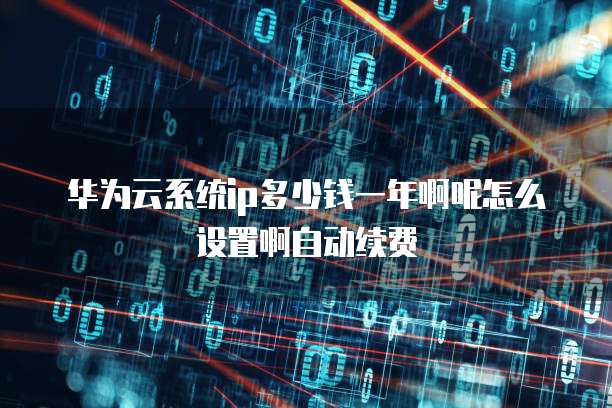 华为云系统ip多少钱一年啊呢怎么设置啊自动续费