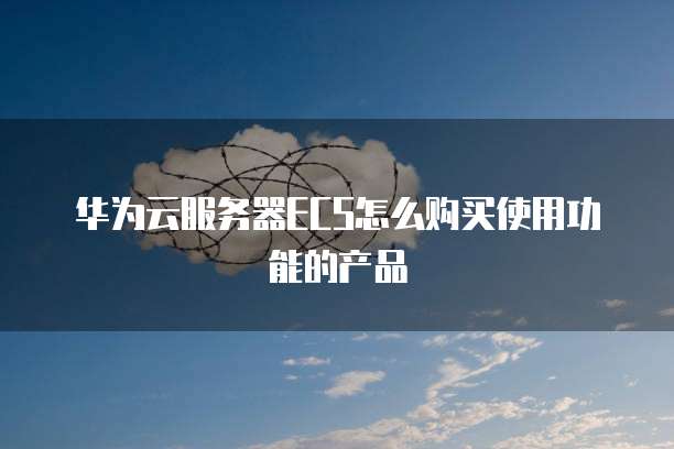 华为云服务器ECS怎么购买使用功能的产品