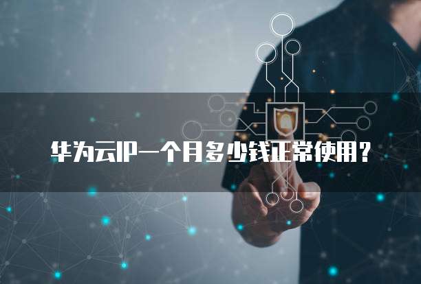 华为云IP一个月多少钱正常使用?