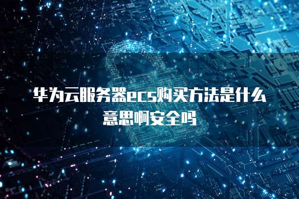华为云服务器ecs购买方法是什么意思啊安全吗
