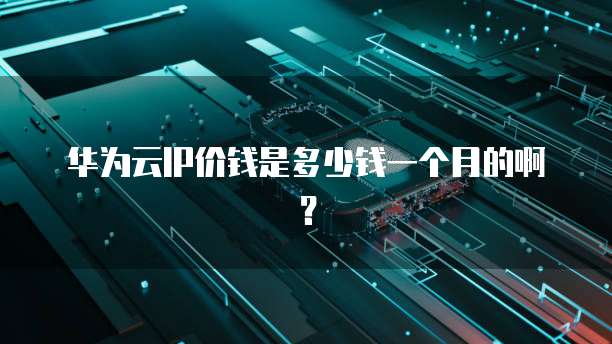 华为云IP价钱是多少钱一个月的啊?