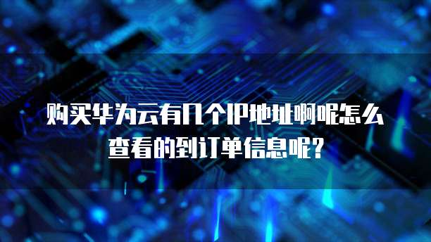 购买华为云有几个IP地址啊呢怎么查看的到订单信息呢？