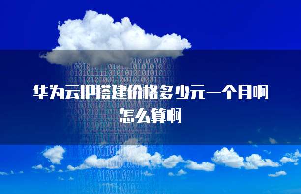 华为云IP搭建价格多少元一个月啊怎么算啊