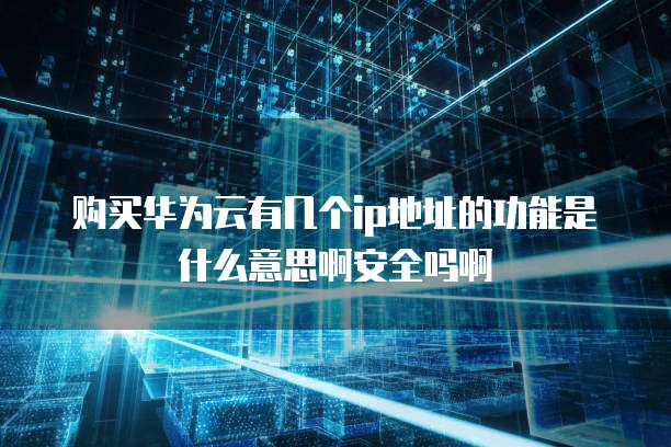 购买华为云有几个ip地址的功能是什么意思啊安全吗啊