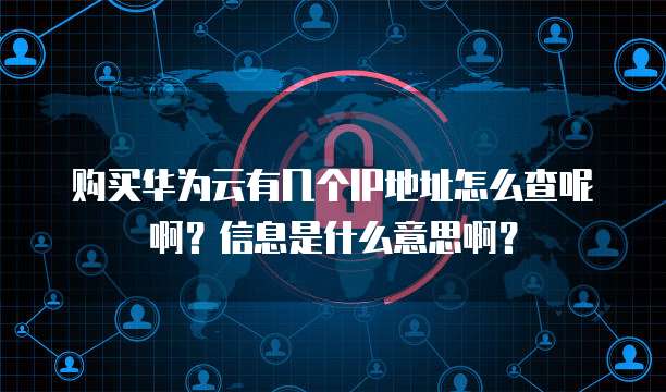 购买华为云有几个IP地址怎么查呢啊？信息是什么意思啊？
