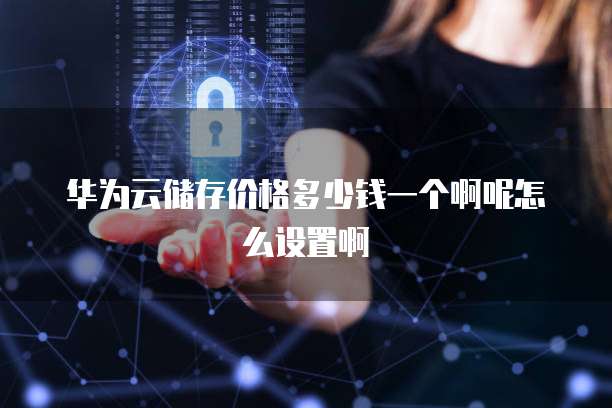 华为云储存价格多少钱一个啊呢怎么设置啊