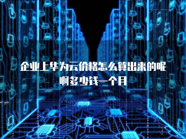 企业上华为云价格怎么算出来的呢啊多少钱一个月