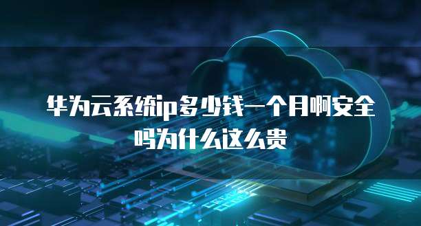 华为云系统ip多少钱一个月啊安全吗为什么这么贵