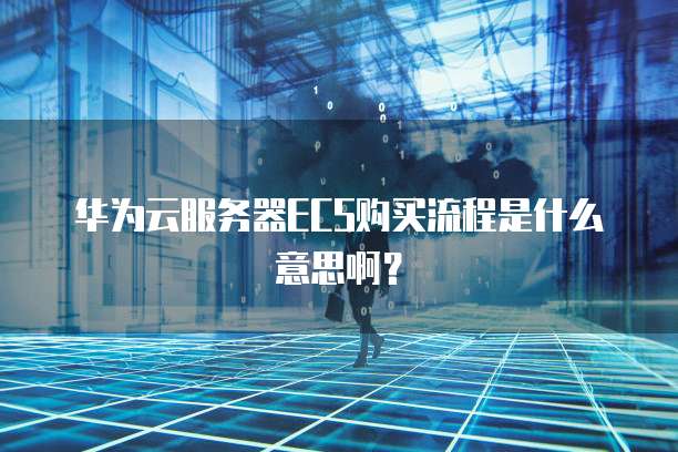 华为云服务器ECS购买流程是什么意思啊?